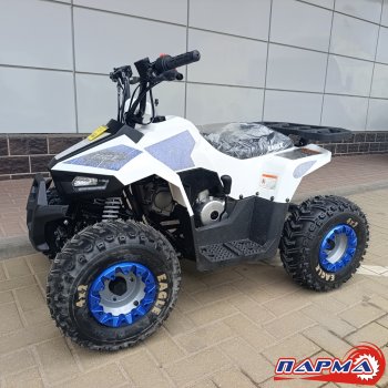 КВАДРОЦИКЛ Motoland VOX110 EAGLE